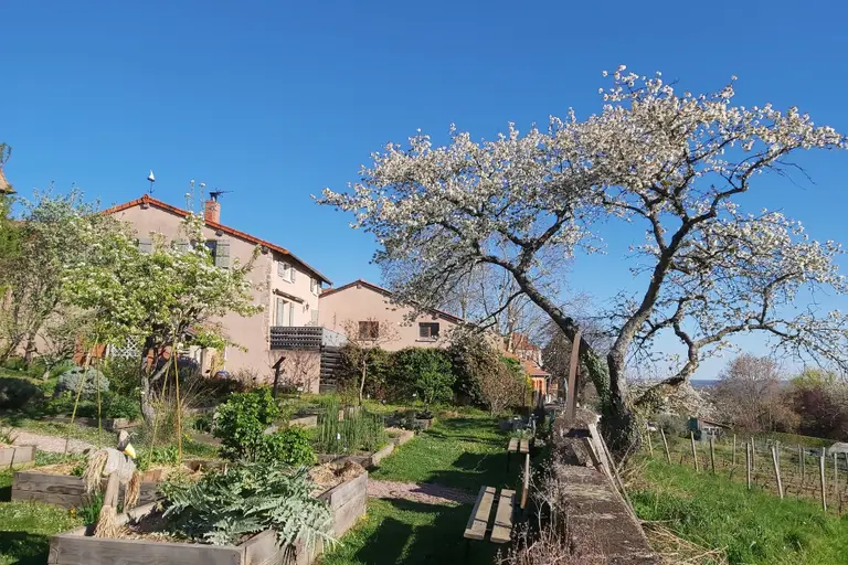 Visite du jardin médiéval de Saint-Haon-le-Châtel à Saint-Haon-le-Châtel