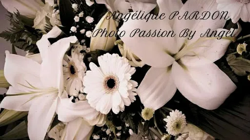 Angélique Pardon - Photographe à Riorges