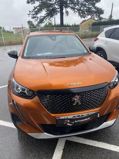 Automobiles Gerossier à Riorges