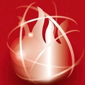 LIS - Loire Incendie Sécurité Rhone Alpes à Riorges