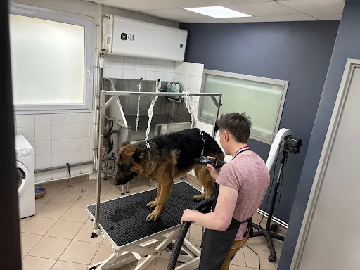 Salon de Toilettage Des Quatt'Pattes à Riorges